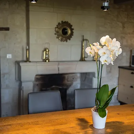Les Orchidees De La Loire Saumur
